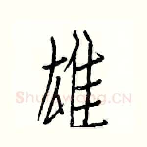 雄