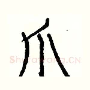 爪