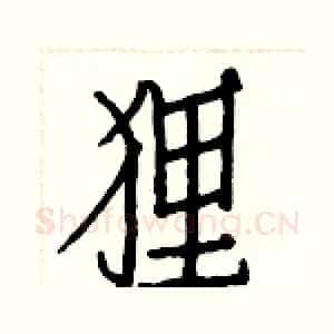 狸