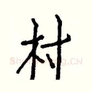 村