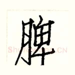 脾