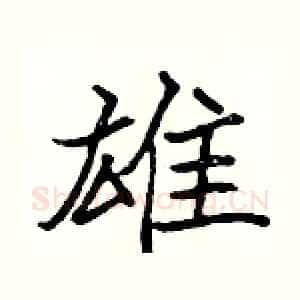 雄