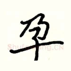 孕