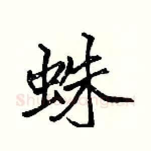 蛛