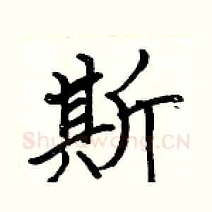 斯