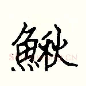 鰍