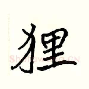 狸