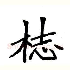 梽