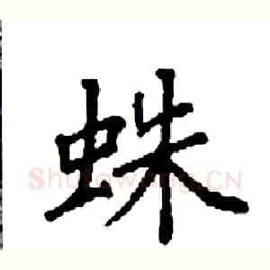 蛛