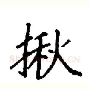 揪