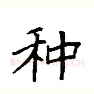 种