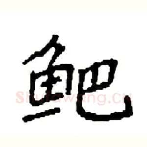 鲃