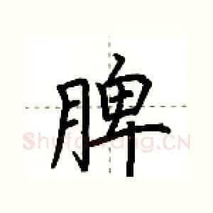 脾