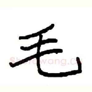 毛
