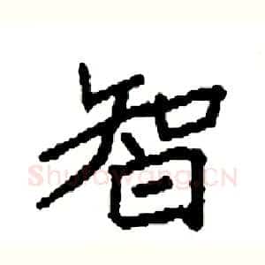 智