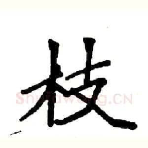 枝