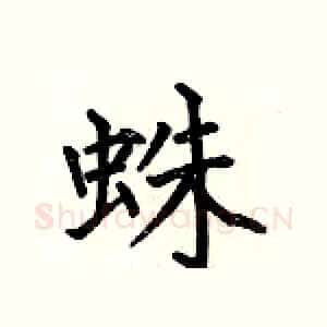 蛛