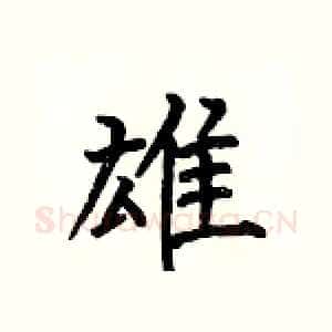 雄