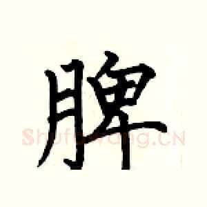 脾