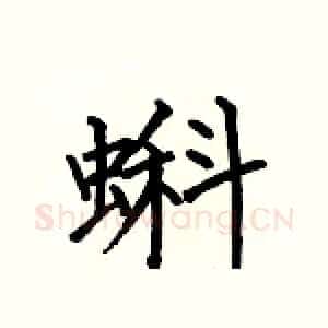 蝌