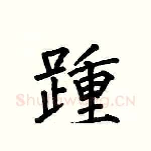 踵