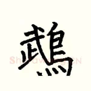 鵡