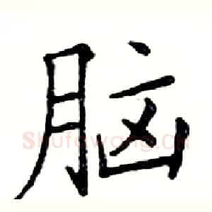 脑