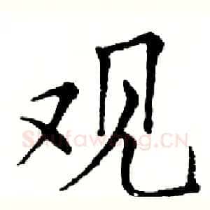 观