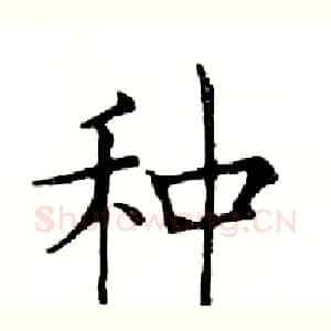 种