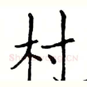 村