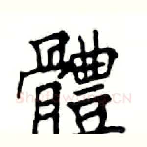 體