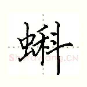 蝌