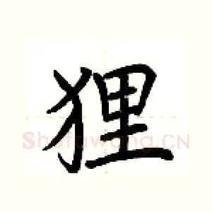 狸