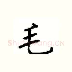 毛