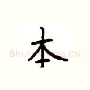 本