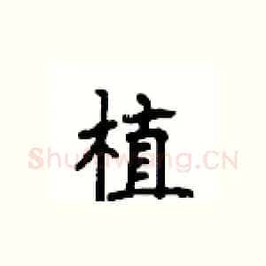 植
