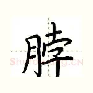 脖