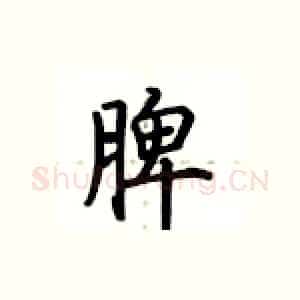 脾