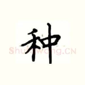 种