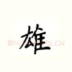 雄