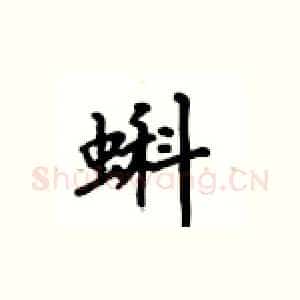 蝌