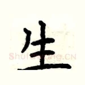 生