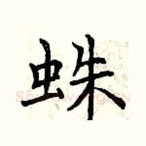 蛛