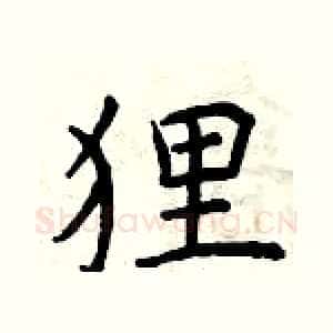 狸