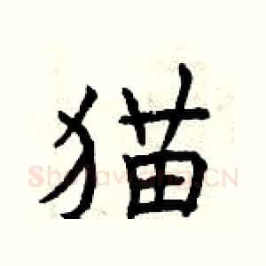 猫