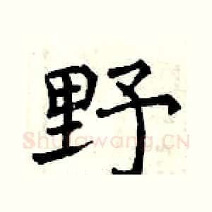 野