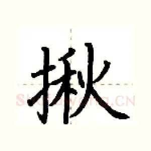 揪
