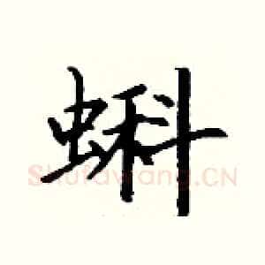 蝌