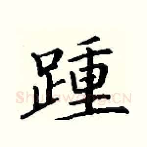 踵