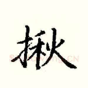 揪